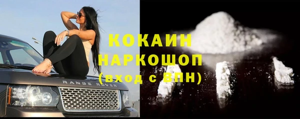 индика Алексеевка