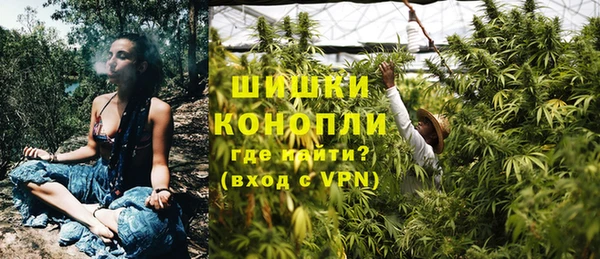 индика Алексеевка