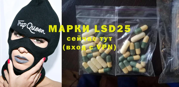 индика Алексеевка