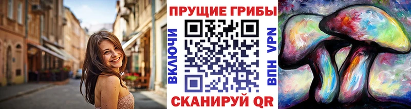 Галлюциногенные грибы Psilocybine cubensis  сколько стоит  нарко площадка состав  Апатиты 